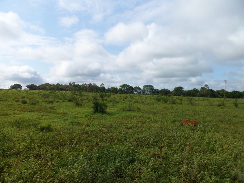 Visão sul - south view