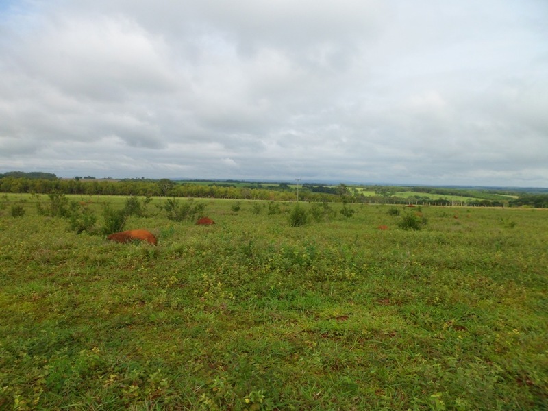 Visão oeste - west view