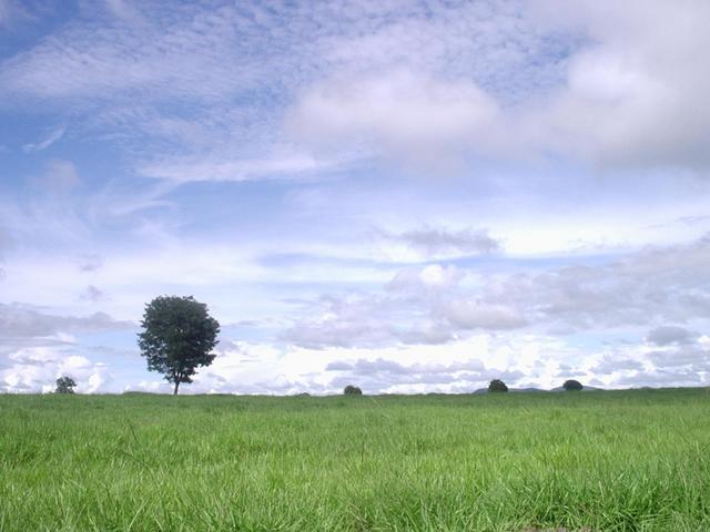 Vista para o Leste