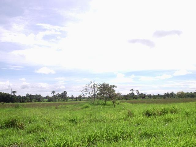 Vista para o Oeste