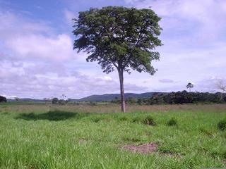 #1: Vista para o Norte