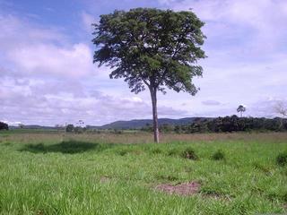 #1: Vista para o Norte