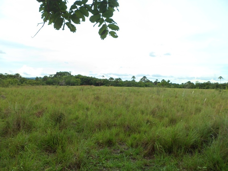 Visão norte - north view