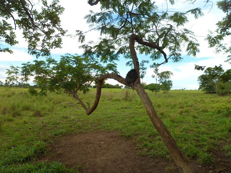 Visão leste - east view