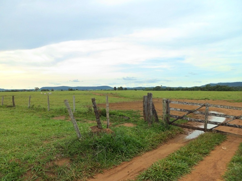 Entrada da fazenda onde se localiza a confluência - entrance of farm where lies the confluence