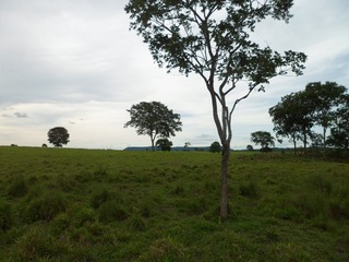 #1: Visão geral - general view