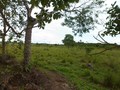 #3: Visão oeste - west view