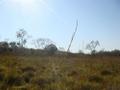 #2: View to east