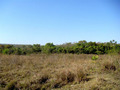 #5: General view