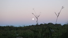 #6: Visão da Confluência a distância. Confluence at a distance