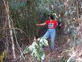 #10: Mata densa, dificil de caminhar. Hard walk to CP through the dense bush.
