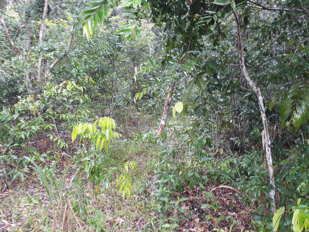 Visão geral - general view