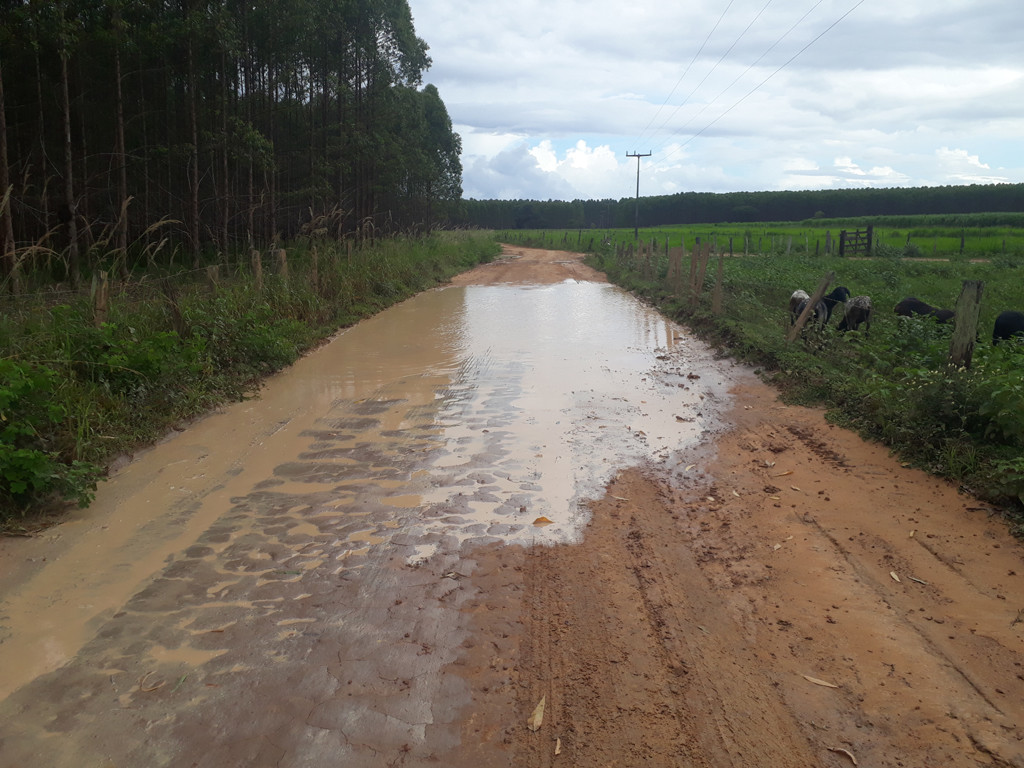 Grandes poças d'água na estrada de terra - big puddles on dirt road