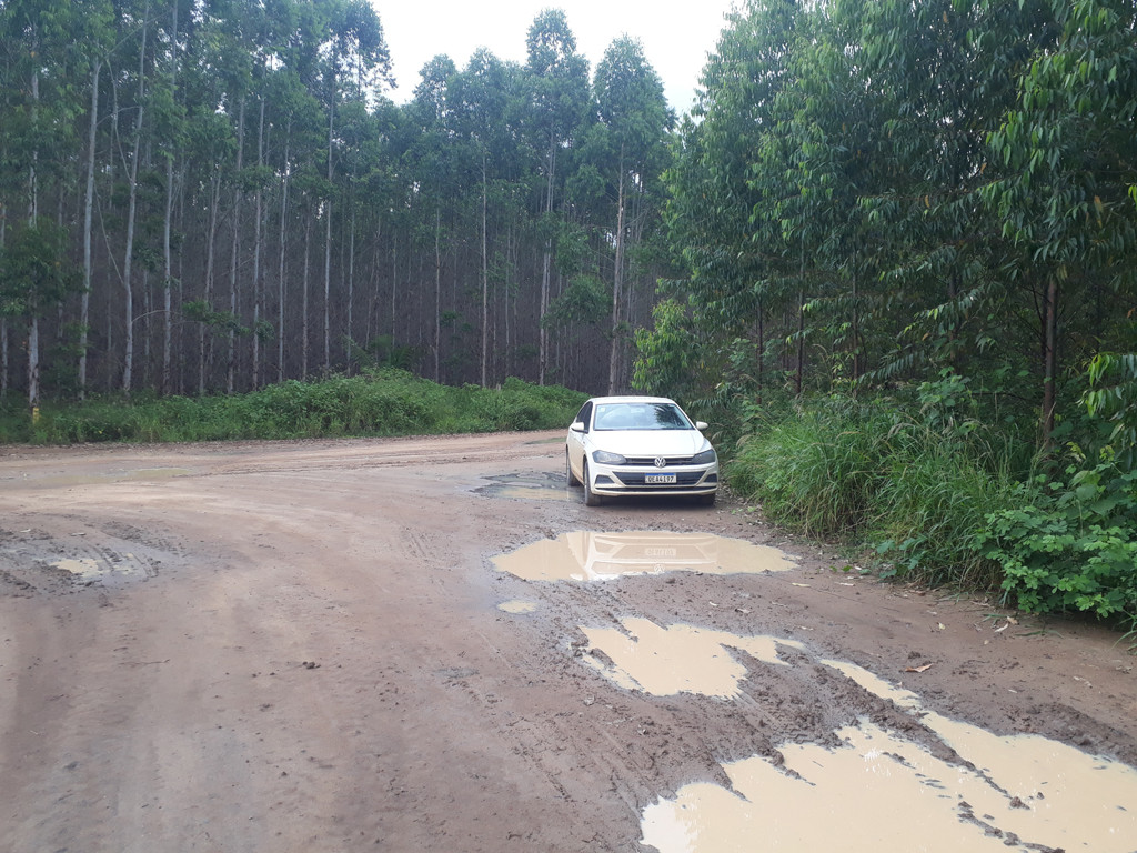 Parei o carro a 4,5 quilômetros do ponto exato - I stopped the car 4.5 kilometers to the exact point