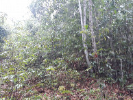 #4: Visão leste - east view