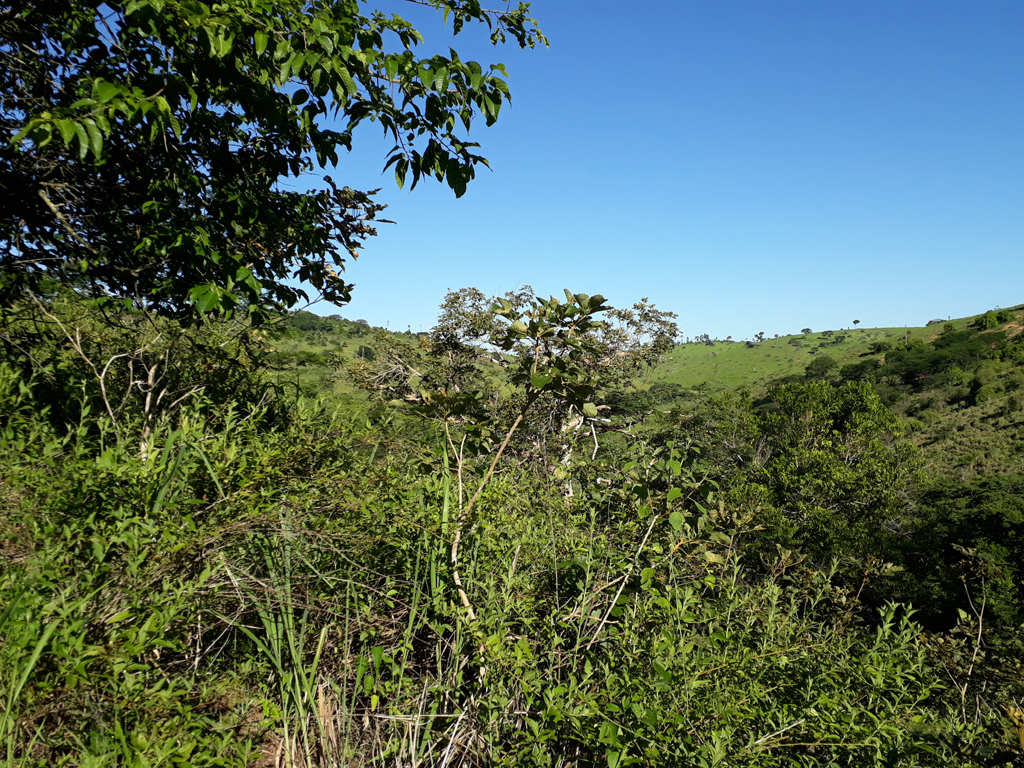 Visão leste - east view