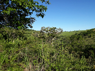 #4: Visão leste - east view