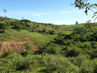 #7: Paisagem na região da confluência - landscape in confluence region