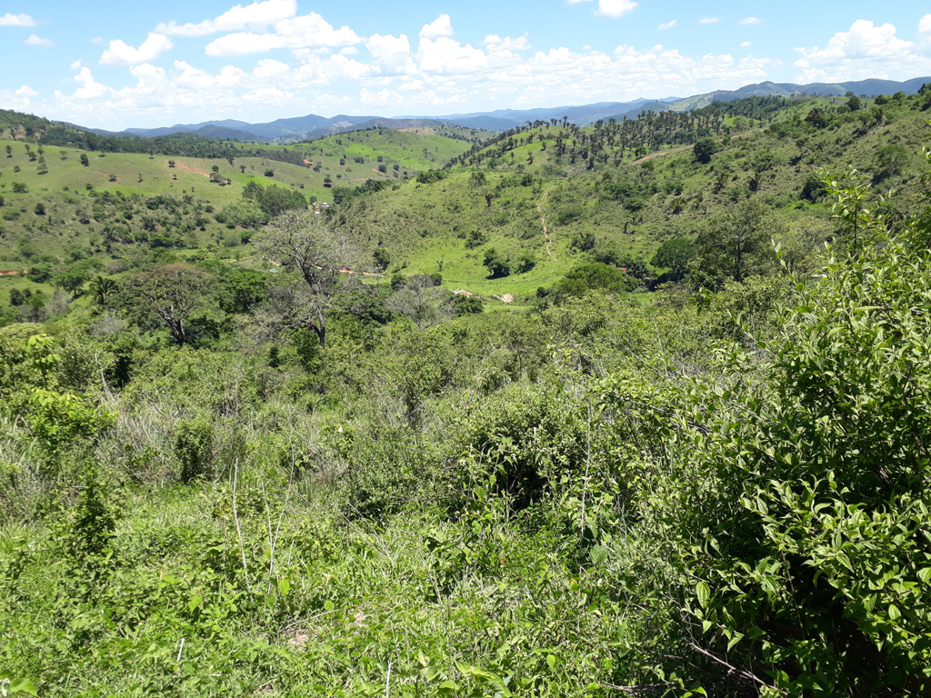 Visão geral, montanha abaixo - general view, going down