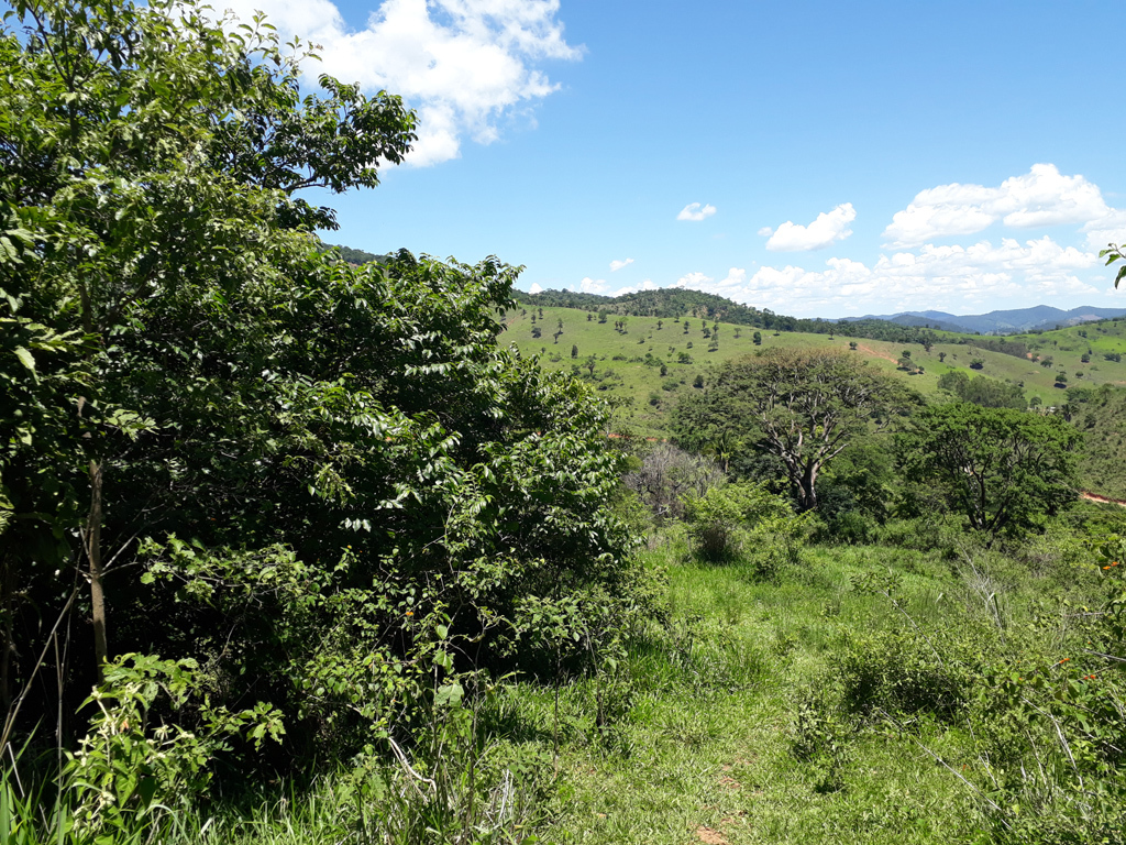 Visão oeste - west view