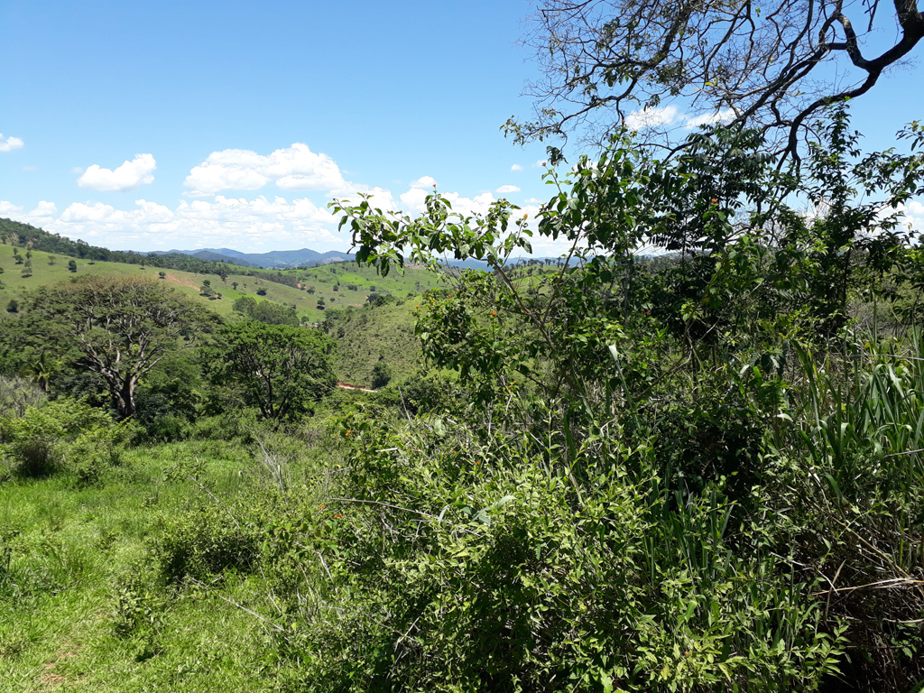 Visão norte - north view