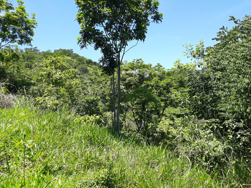 Visão sul - south view