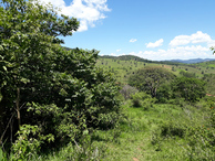 #3: Visão oeste - west view