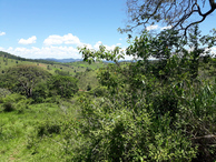 #4: Visão norte - north view