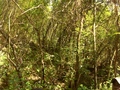 #5: East