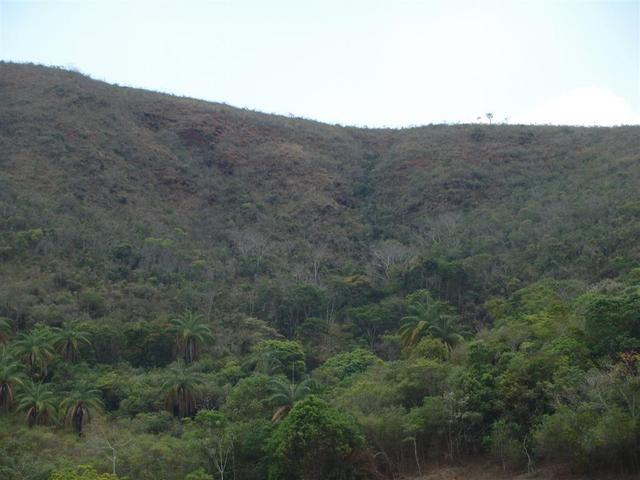 Vista geral da area da confluencia - General view