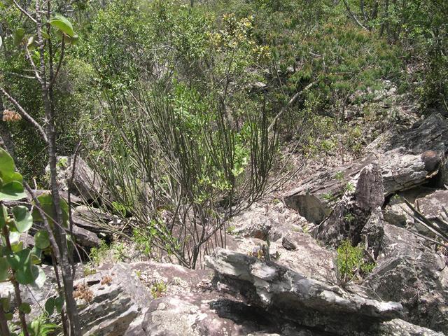 Views to south (approaching the confluence)