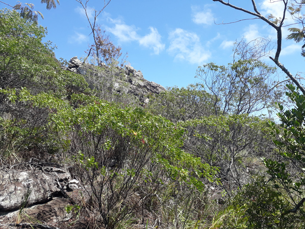 Visão geral - general view