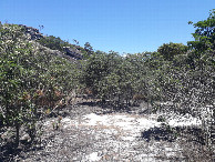 #10: Caminhada até a confluência - hike to the confluence