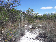 #12: Caminhada pela areia - hiking by the sand