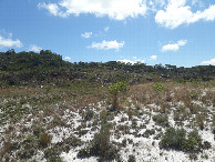 #8: Caminhada pelo campo aberto e pedras à frente - hiking by open field and rocks ahead