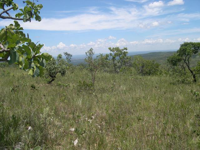 view to east 300 meters from confluence