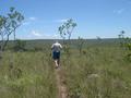 #8: The  foot path going to spring Rio de Janeiro watershed