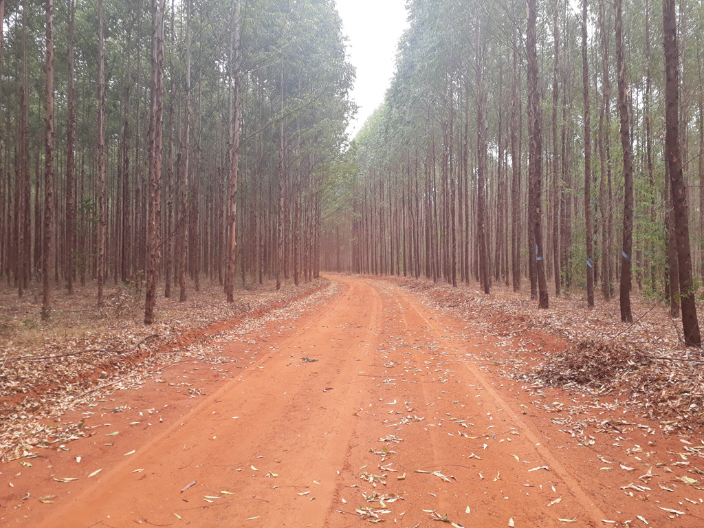 Bela paisagem, km 60,7 do trecho em estrada de terra - beautiful landscape, km 60.7 of dirt road leg