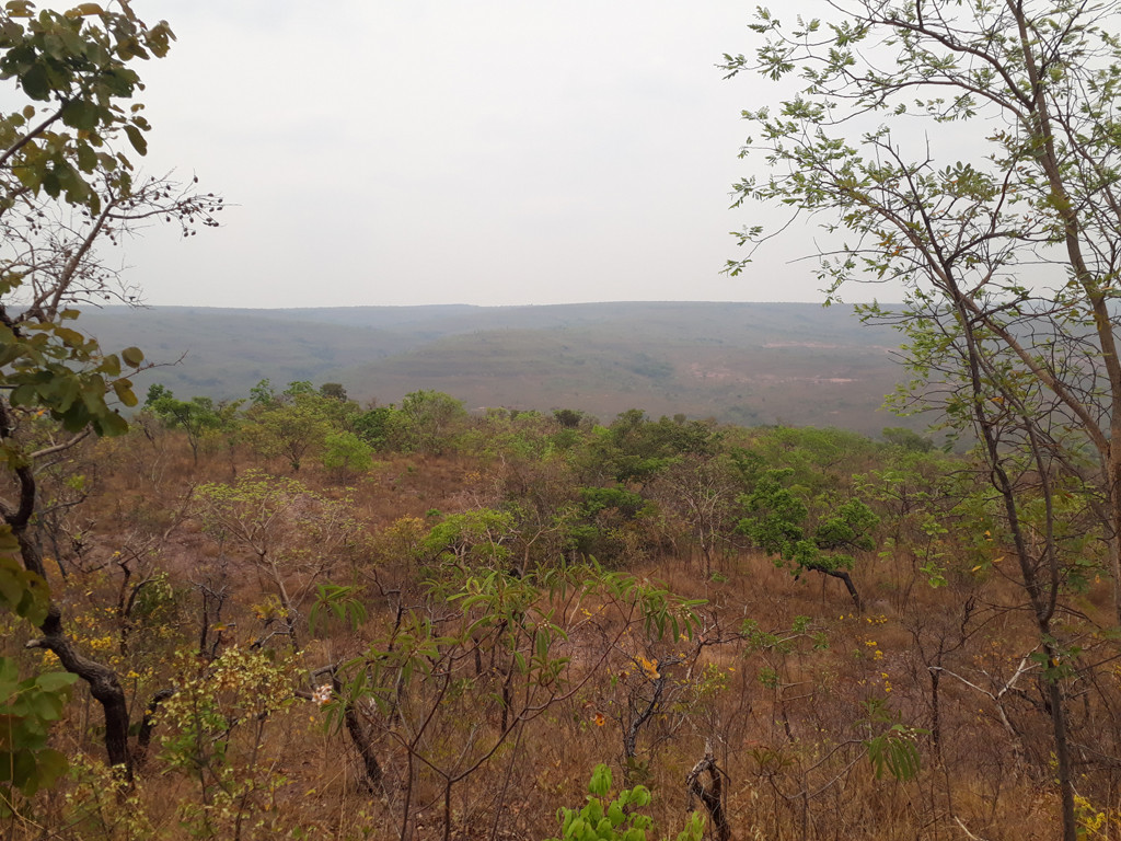 Visão geral - general view