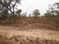 #12: Início do trecho de caminhada pelo mato - beginning of hiking by the bush