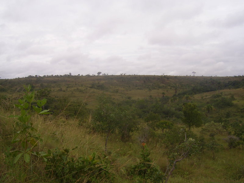 Visão geral - general view