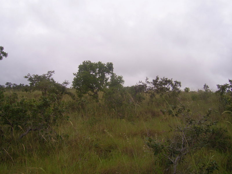 Visão norte - north view