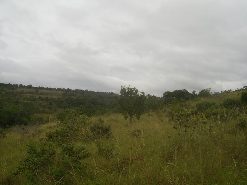 Visão oeste - west view