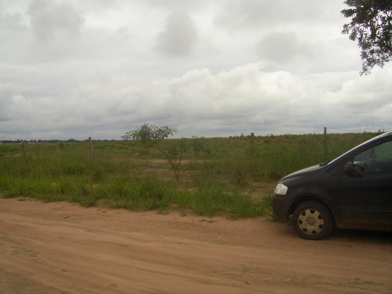 Início da caminhada - beginning of walking