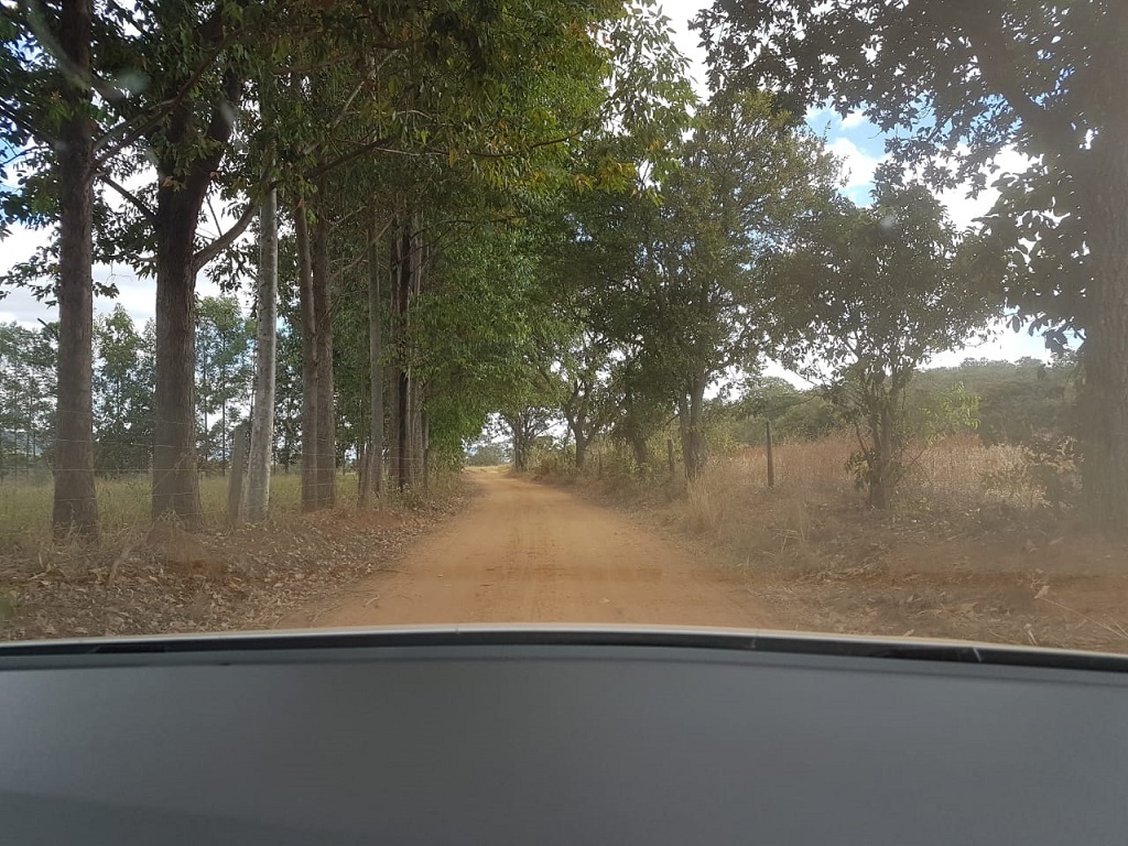 Estrada de terra que dá acesso à confluência - dirt road that goes to the confluence