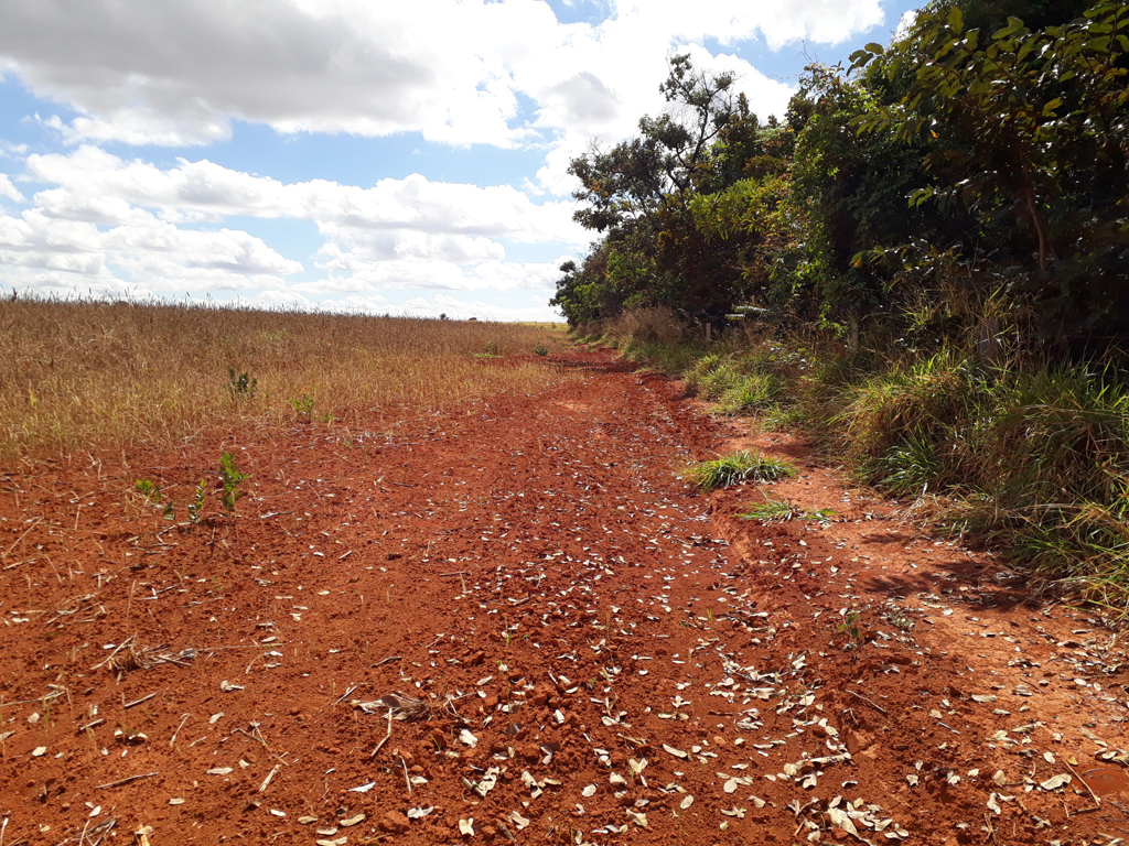 Caminho de volta, a confluência fica na mata à direita - way back, the confluence lies at the forest at right