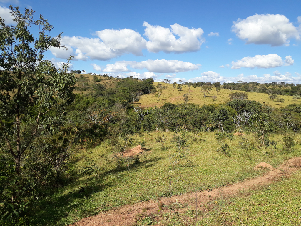 Confluência do outro lado da mata ciliar - confluence after the riparian forest