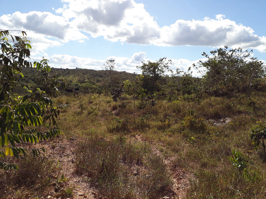 #1: Visão geral - general view