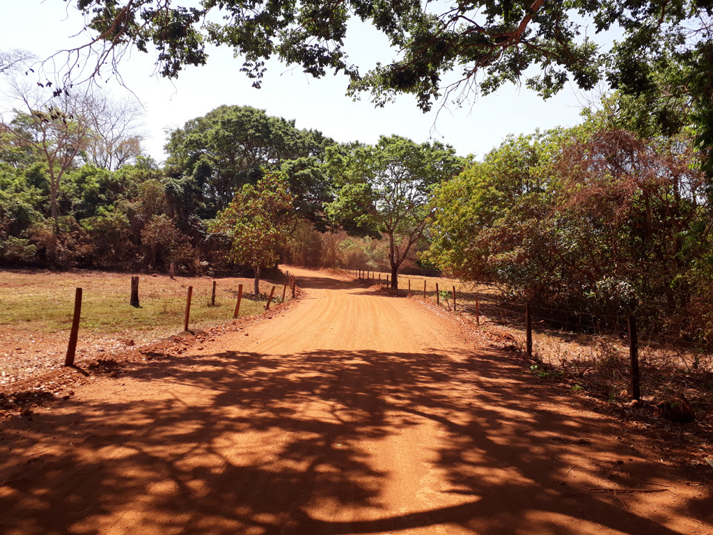 Estrada que dá acesso à confluência – road that goes to the confluence