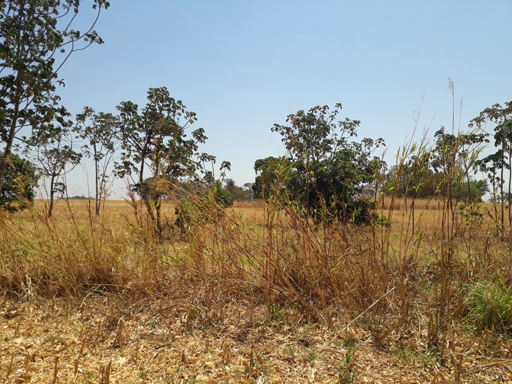 Visão norte – north view